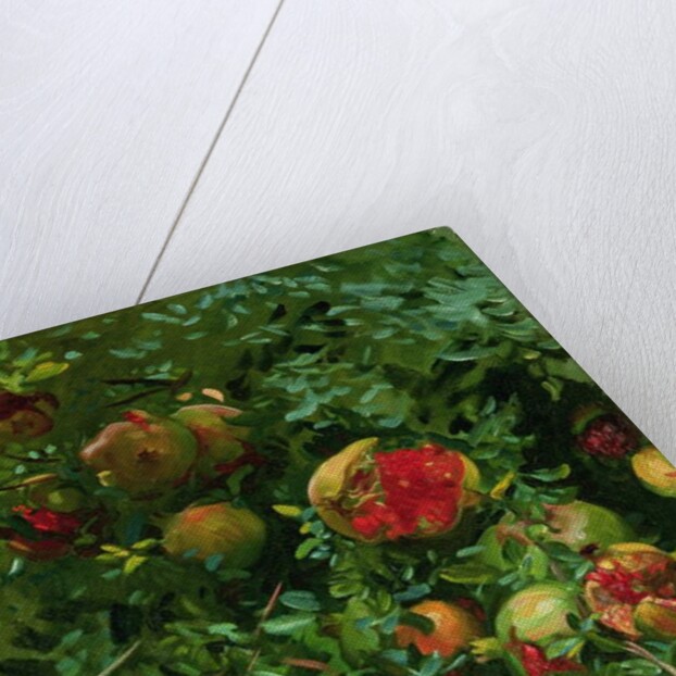 Pomegranates, Majorca, c.1908 by John Singer Sargent