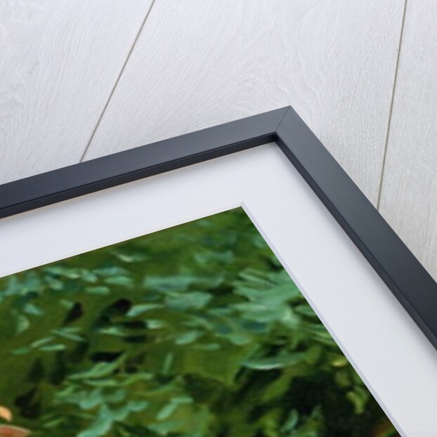 Pomegranates, Majorca, c.1908 by John Singer Sargent