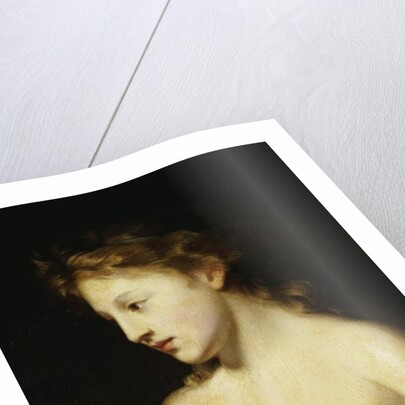 Ganymede, late 19th century by Thomas Sully