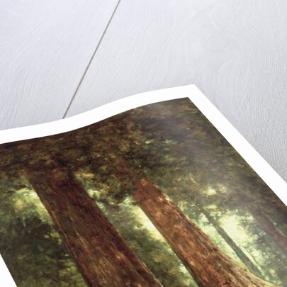 In the Redwoods, 1899 by Thomas Hill