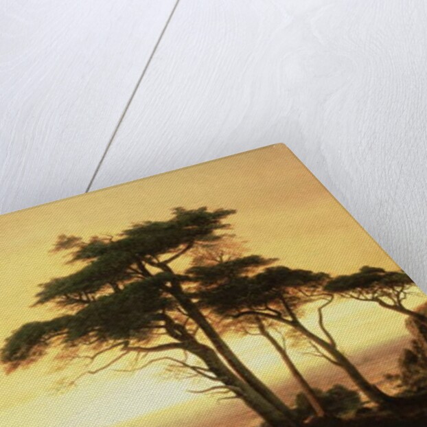 California Coast by Albert Bierstadt