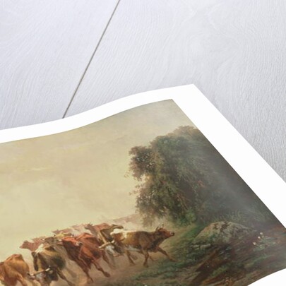 Union Drover with Cattle for the Army, 1860 by Otto Sommer