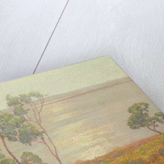 The Morning Sun, San Diego by Maurice Braun