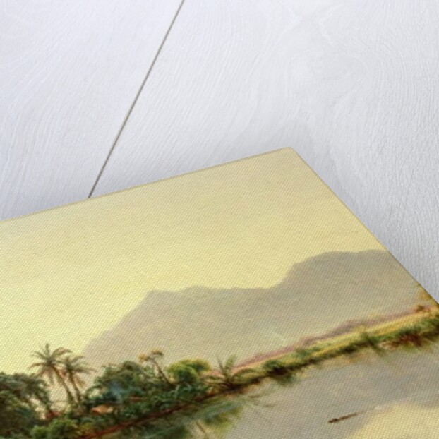 On the Orinoco, Venezuela, 1857 by Louis Remy Mignot