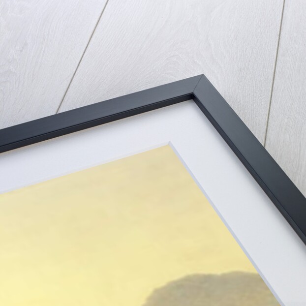 On the Orinoco, Venezuela, 1857 by Louis Remy Mignot