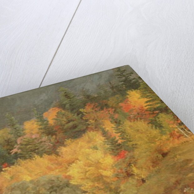 Autumn by the Brook, 1855 by Jasper Francis Cropsey