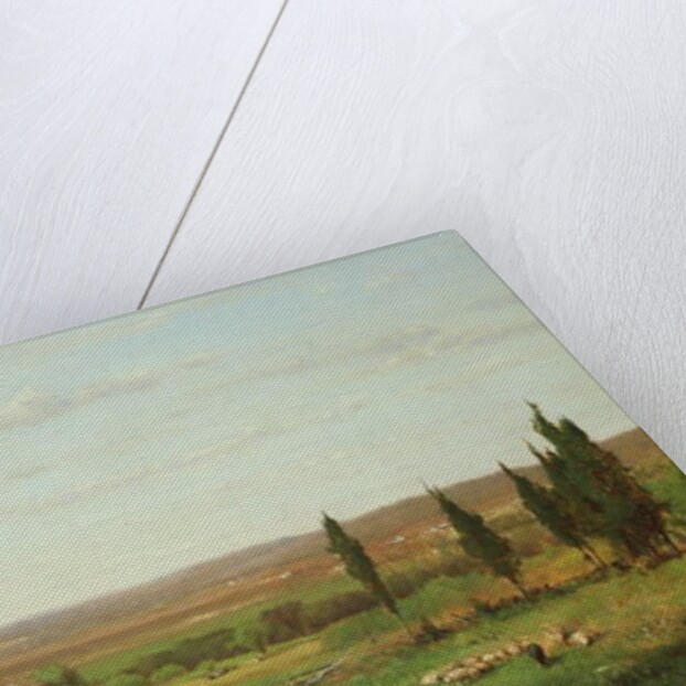 Near Eagleswood, 1869 by George Snr. Inness