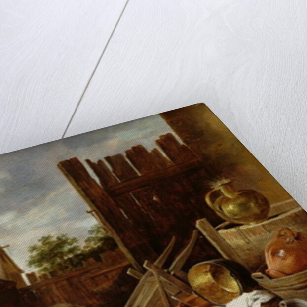 A cat tended by an old woman by David the Younger Teniers