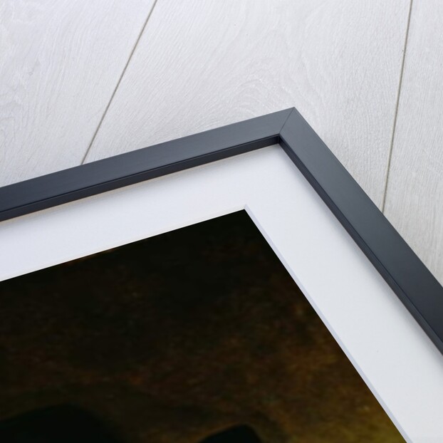 Portrait of a Gentleman wearing a ruff and dark clothes with a wide brimmed hat by Ferdinand Bol