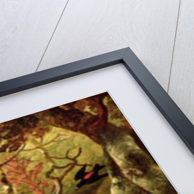 Exotic Birds and Insects Among Trees and Foliage in a Mountainous River Landscape by Philip Reinagle