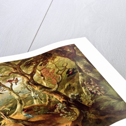 Exotic Birds and Insects Among Trees and Foliage in a Mountainous River Landscape by Philip Reinagle