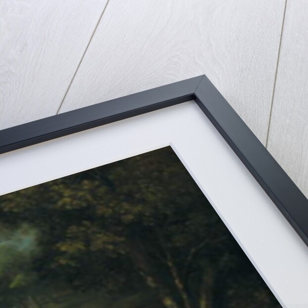 Sacrifice of a Hindoo Widow Upon the Funeral Pile of Her Husband by Johann Zoffany