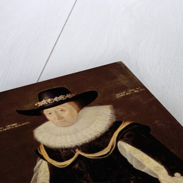 Portrait of a Lady, 1629 by English School