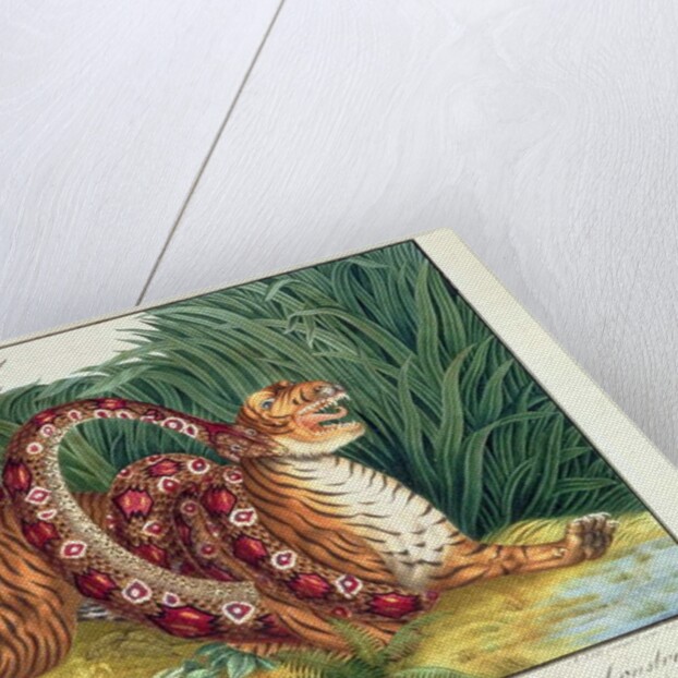 The Tiger and the Boa Constrictor, 1835 by Aloys Zotl