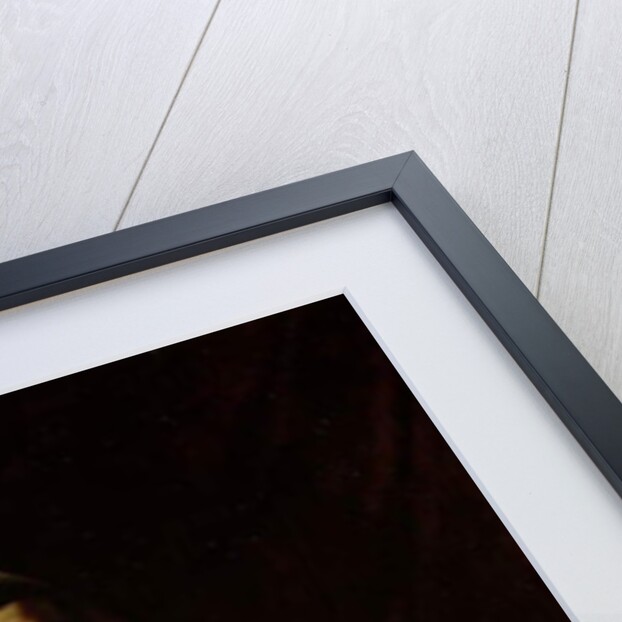 Portrait of a Monk of the Pueroni Family by Luigi (c.1605-c.1654) Miradori