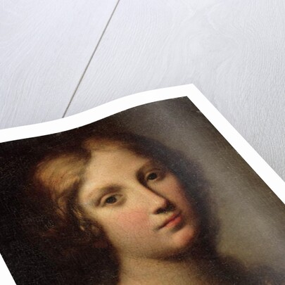 Portrait of a Young Woman by Onorio Marinari