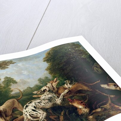 Dogs Fighting in a Wooded Clearing by Frans Snyders or Snijders
