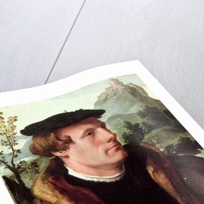 Portrait of a Gentleman by Maerten van Heemskerck