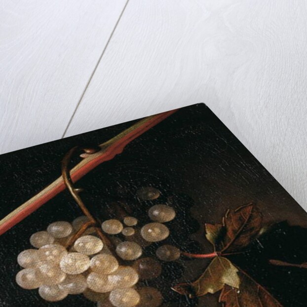 A Bunch of Grapes Hanging before a Stone Wall, 1709 by Simon Peeterz Verelst