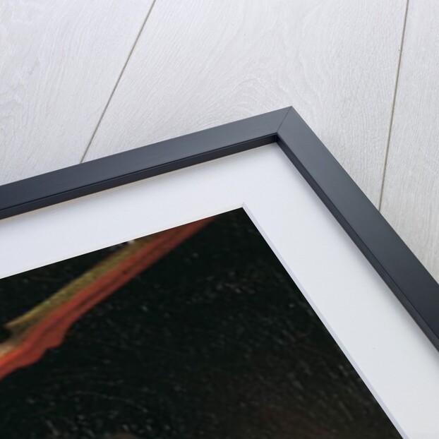 A Bunch of Grapes Hanging before a Stone Wall, 1709 by Simon Peeterz Verelst