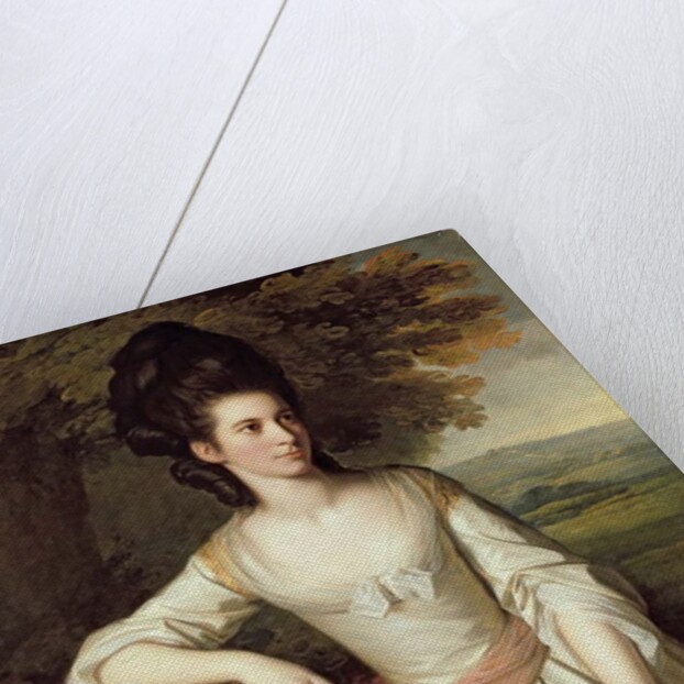 Portrait of Mrs. Vere by Nathaniel Dance