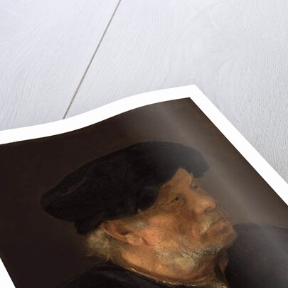 A man, bust-length, holding a cane and his spectacles, by a wooden ledge by Karel van der Pluym