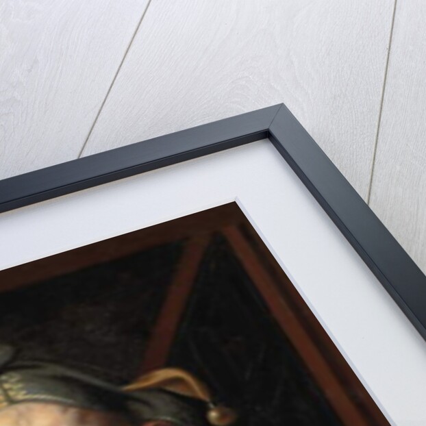 A jester with a cat by Jacob Jordaens