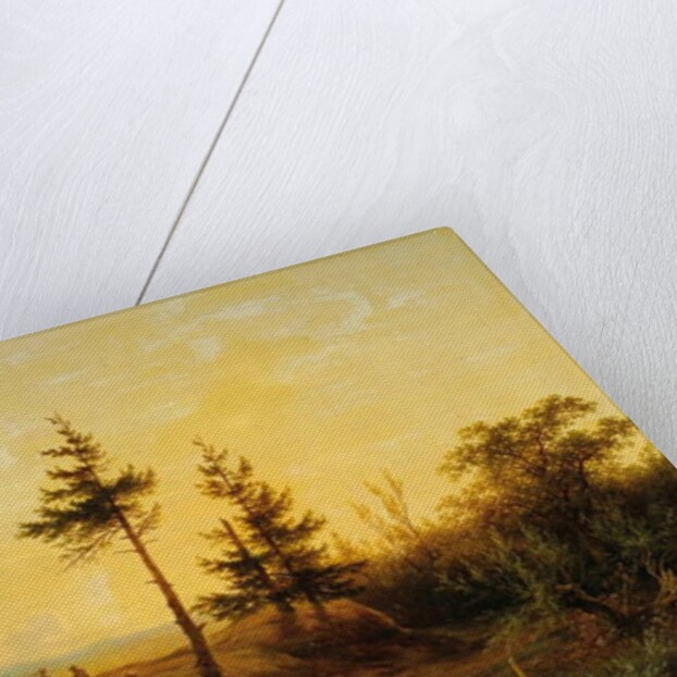 An extensive heath landscape by Cornelis Lieste