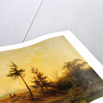 An extensive heath landscape by Cornelis Lieste