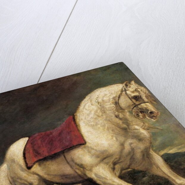 A bridled grey stallion, with a saddle cloth and partially plaited mane: a modello by Anthony van Dyck