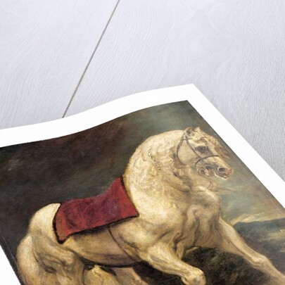 A bridled grey stallion, with a saddle cloth and partially plaited mane: a modello by Anthony van Dyck