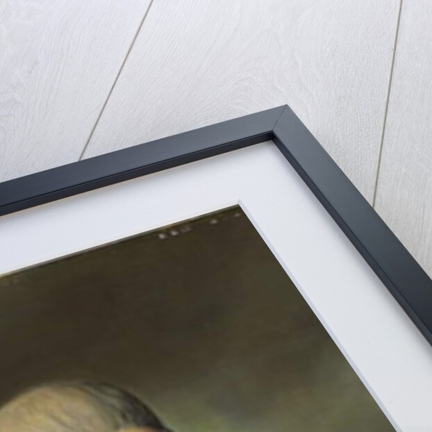 Portrait of Lieutenant General Sir James Duff, half-length, in military uniform, 1771 by John Russell