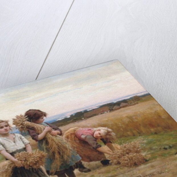 The Young Harvesters, 1895 by Cesar Pattein