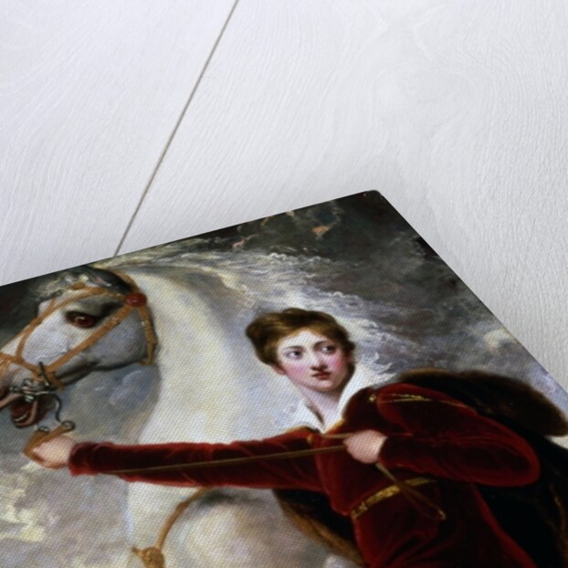 Portrait of a boy in red velvet suit by Thomas Stothard