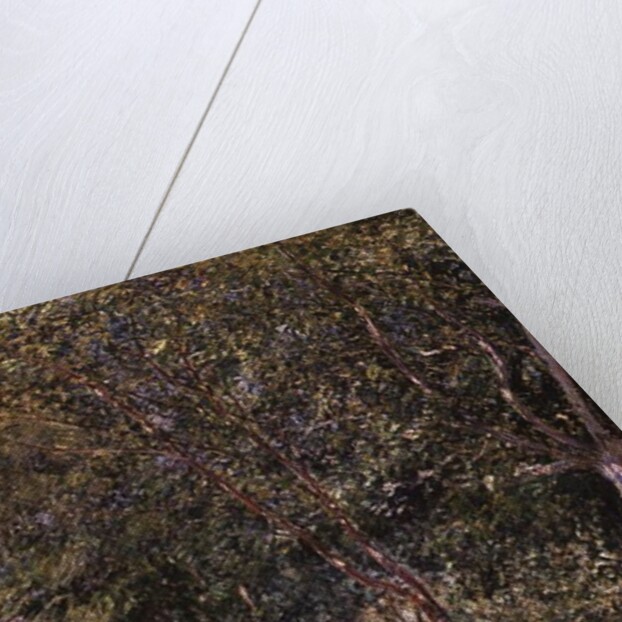 In the Wood by Alfred Sisley