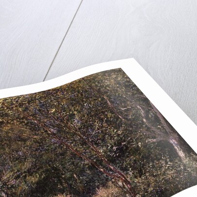 In the Wood by Alfred Sisley