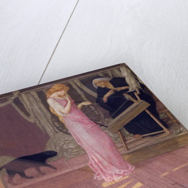 Sleeping Beauty by John Dickson Batten