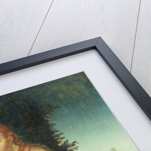 Venus with Cupid the Honey Thief by Lucas the Elder Cranach