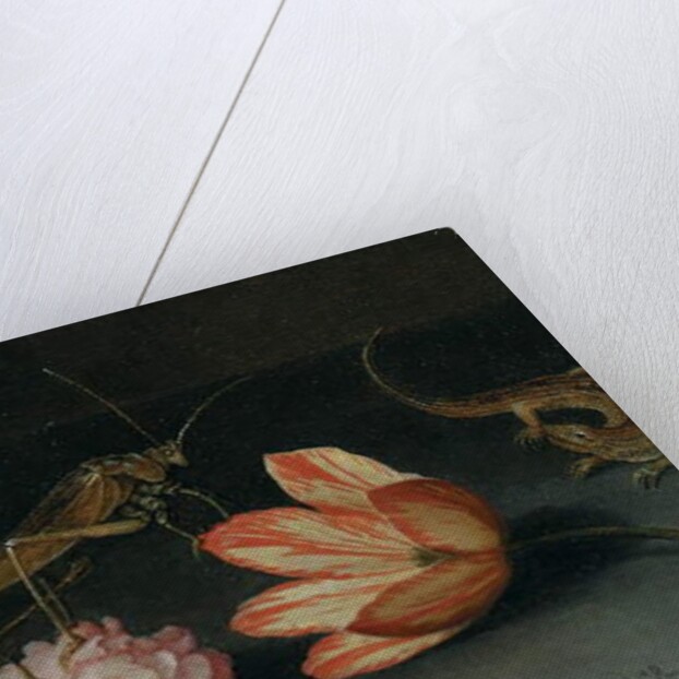 Carnations, a parrot tulip, a grasshopper and a lizard on a ledge by Balthasar van der Ast
