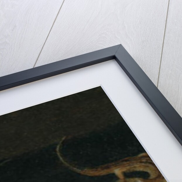 Carnations, a parrot tulip, a grasshopper and a lizard on a ledge by Balthasar van der Ast