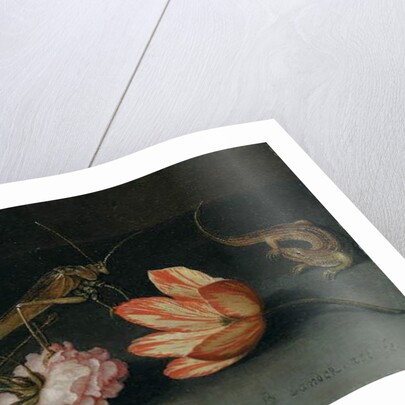 Carnations, a parrot tulip, a grasshopper and a lizard on a ledge by Balthasar van der Ast