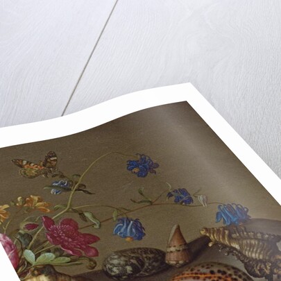 Flowers, shells and insects on a stone ledge by Balthasar van der Ast