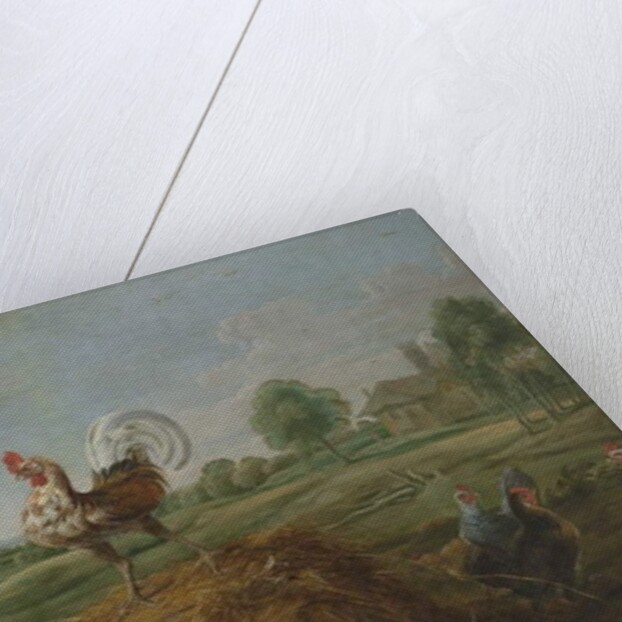 The Cock and The Pearl by Frans (studio of) Snyders