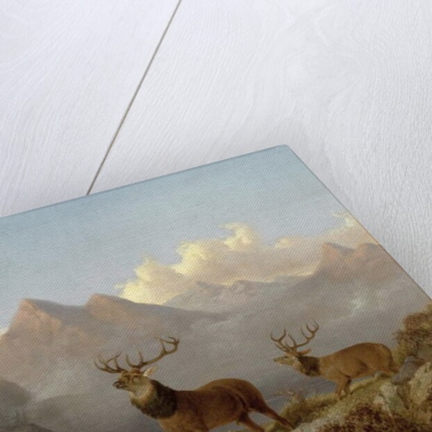 Detail of Stags And Hinds In A Highland Landscape, 1864 by John Frederick Herring Jnr