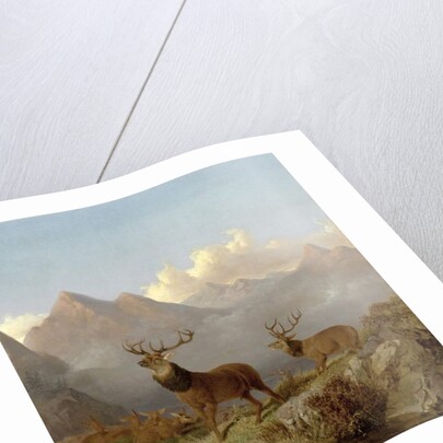 Detail of Stags And Hinds In A Highland Landscape, 1864 by John Frederick Herring Jnr