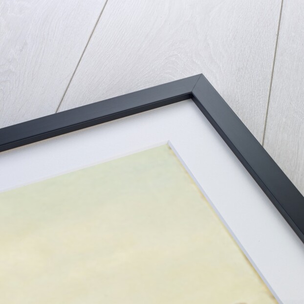 A View of Leicester Square by William James