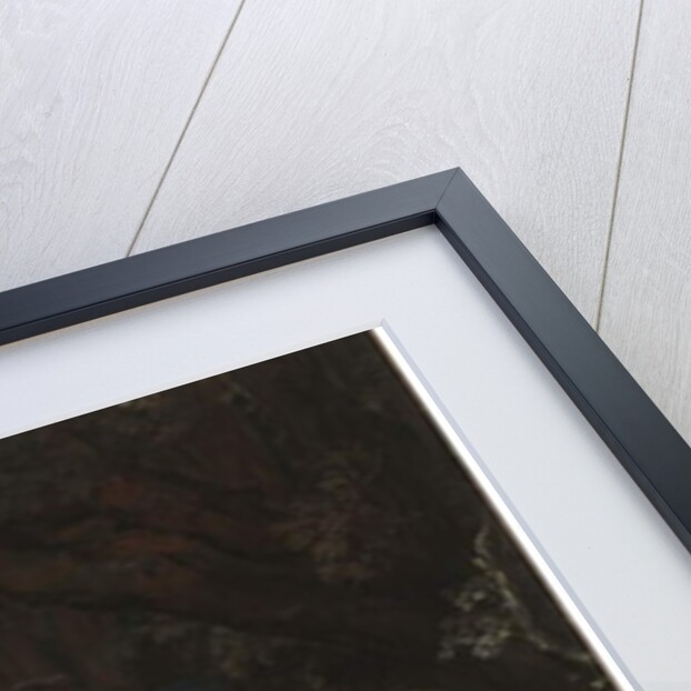 Aeneas and the Cumaean Sibyl presenting the Golden Bough to Charon by Pietro (1611-50) Testa