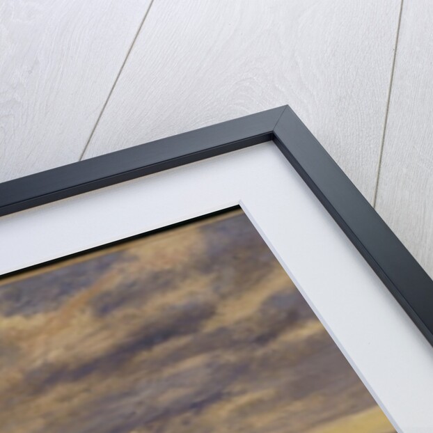 Pointe De Lailly, Maree Basse, 1882 by Claude Monet