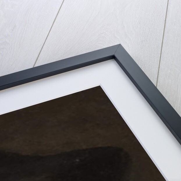 Portrait of a cleric, bust-length, in a blue coat and black hat - a fragment by Titian