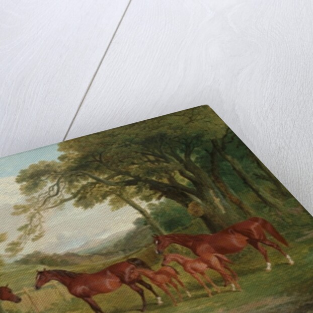 The Streatlam Stud, Mares and Foals, 1836 by John Frederick Herring Snr